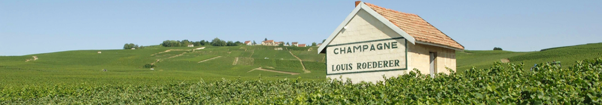 샴페인 뢰데레(Champagne Roederer)