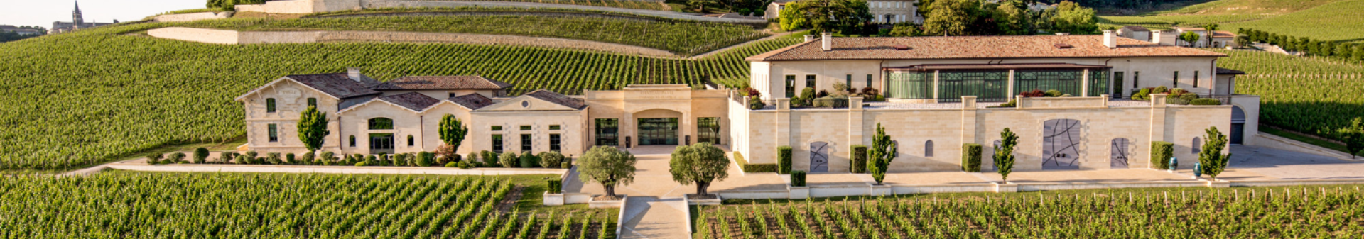 샤토 파비 (Château Pavie)