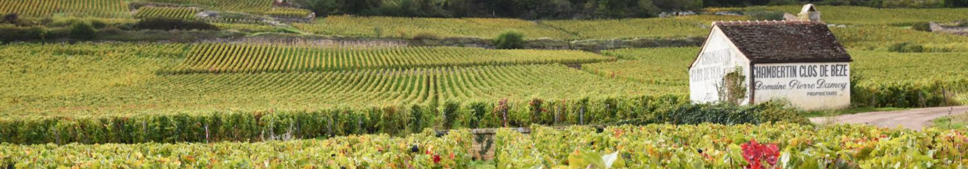 샹베르탱 클로 드 베즈(Chambertin Clos de Bèze) 아펠라시옹 와인