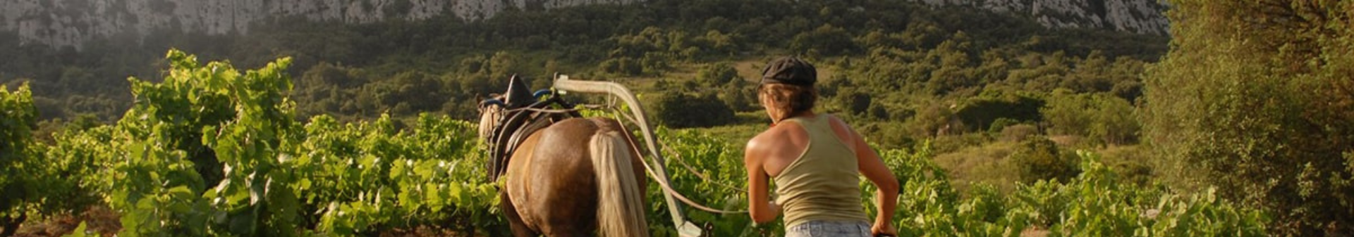 Clos Des Fées (클로 데 페)