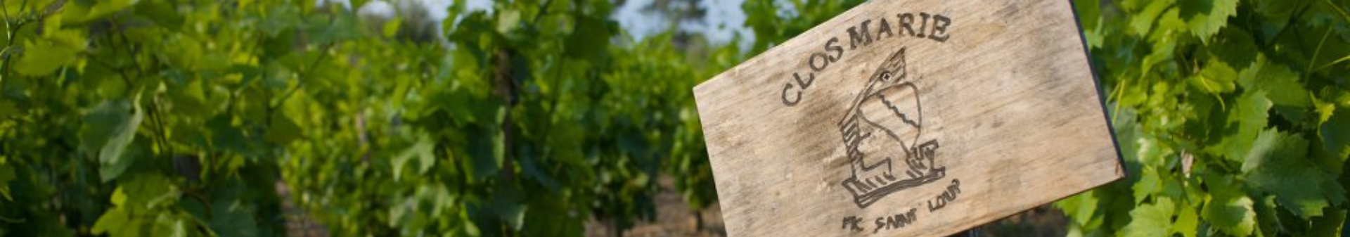 Clos Marie (클로 마리)