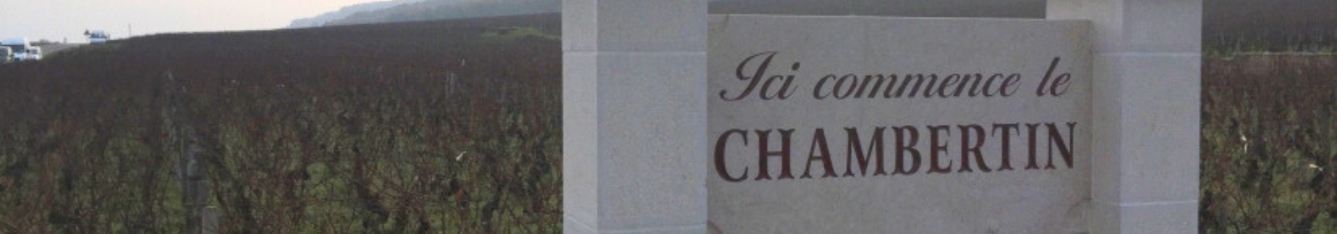 샹베르탱 그랑 크뤼 (Chambertin Grand Cru) 아펠라시옹 와인