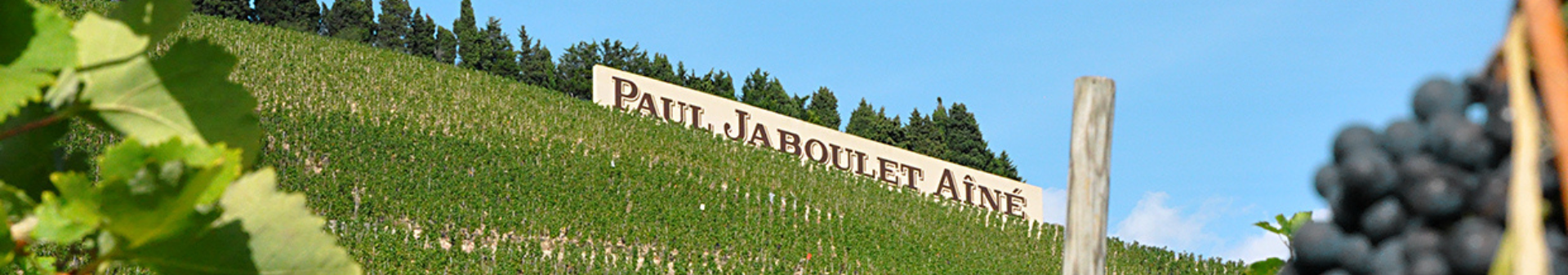 도멘 폴 자불레 에네 (Domaine Paul Jaboulet Aîné)