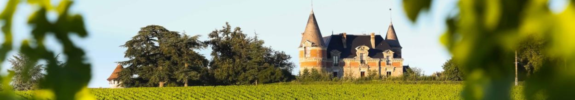 레인 비뉴 샤토 (Château De Rayne Vigneau)