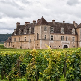 클로 드 부죠 (Clos de Vougeot) 아펠라시옹 와인