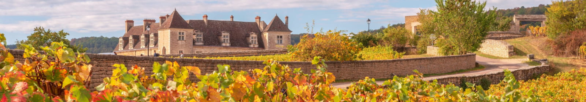 클로 드 부죠 (Clos de Vougeot) 아펠라시옹 와인