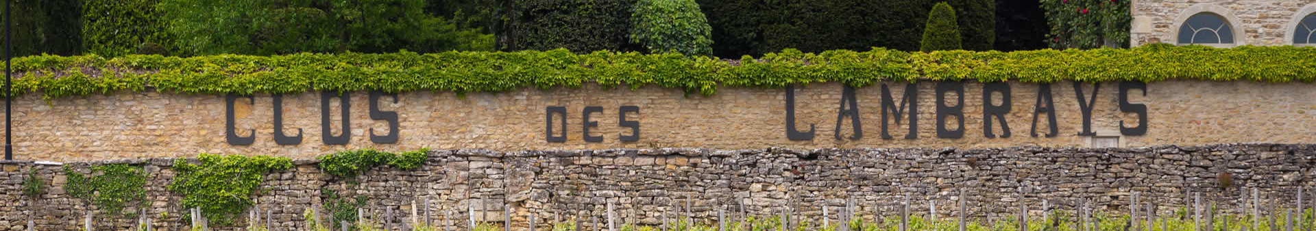 클로 데 람브레 (Clos des Lambrays) 아펠라시옹 와인