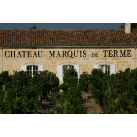 샤토 마르키 드 텀(Château Marquis de Terme)