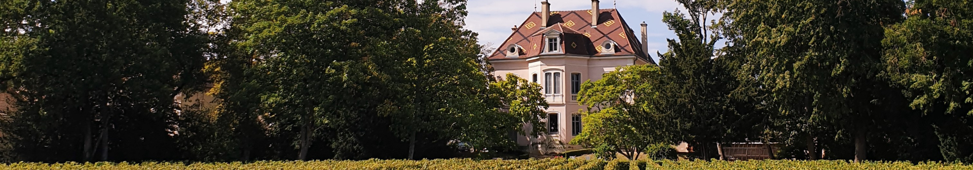 콩트 라퐁 도멘 (Domaine des Comtes Lafon)