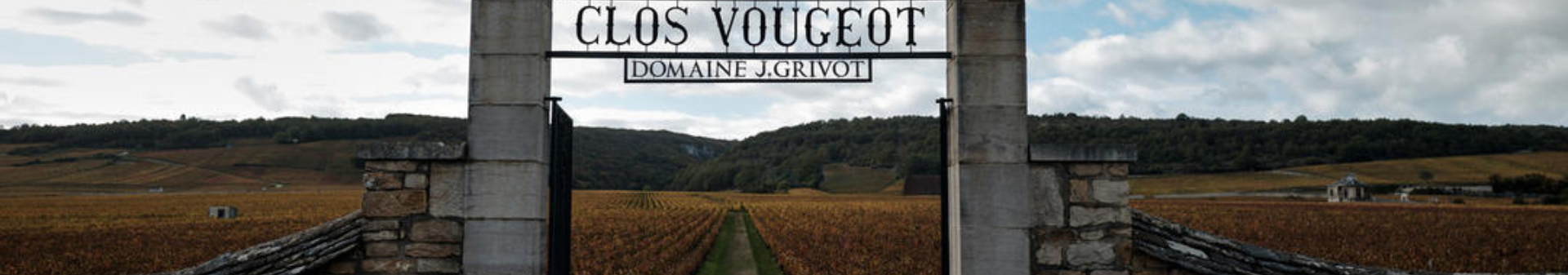 도멘 장 그리보 (Domaine Jean Grivot)