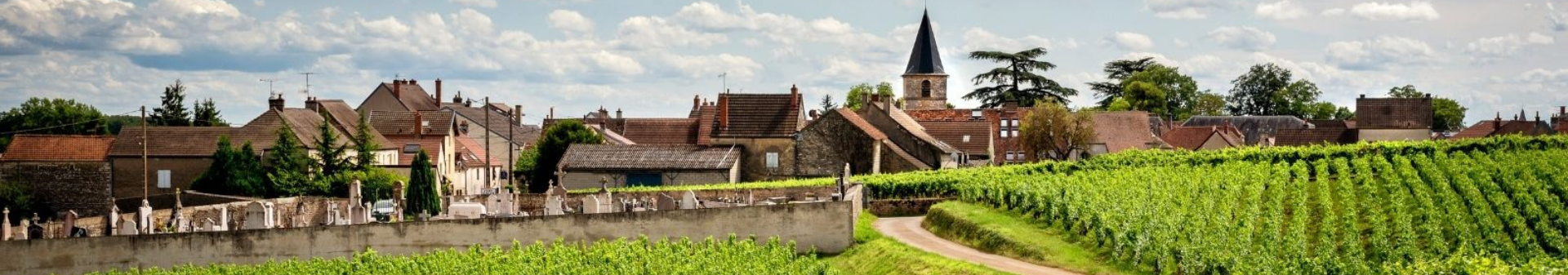 아르누 라쇼 도멘 (Domaine Arnoux Lachaux)