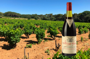 CHATEAU RAYAS  1990