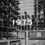 1975년 빈티지에 관한 우리의 기사
