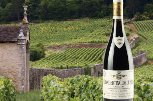 DOMAINE ARMAND ROUSSEAU