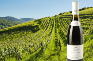 domaine leroy