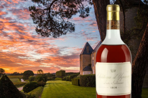 CHÂTEAU D'YQUEM 1908
