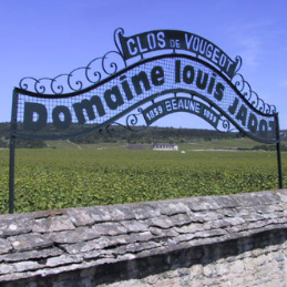 Louis Jadot 하우스에 대해 더 알아보기