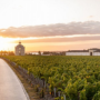 Château Latour, 저희 기사